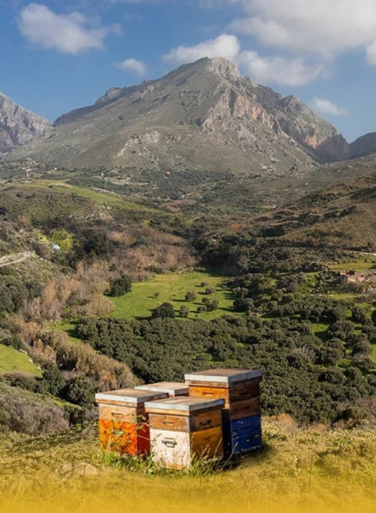 Rauwe honing met bijenkasten in een bergachtig landschap van een imkerij